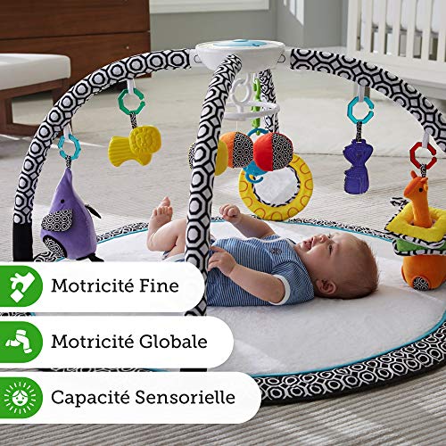 Achat Fisher Price Tapis Musical Et Lumineux D Eveil Et D Activites Jonathan